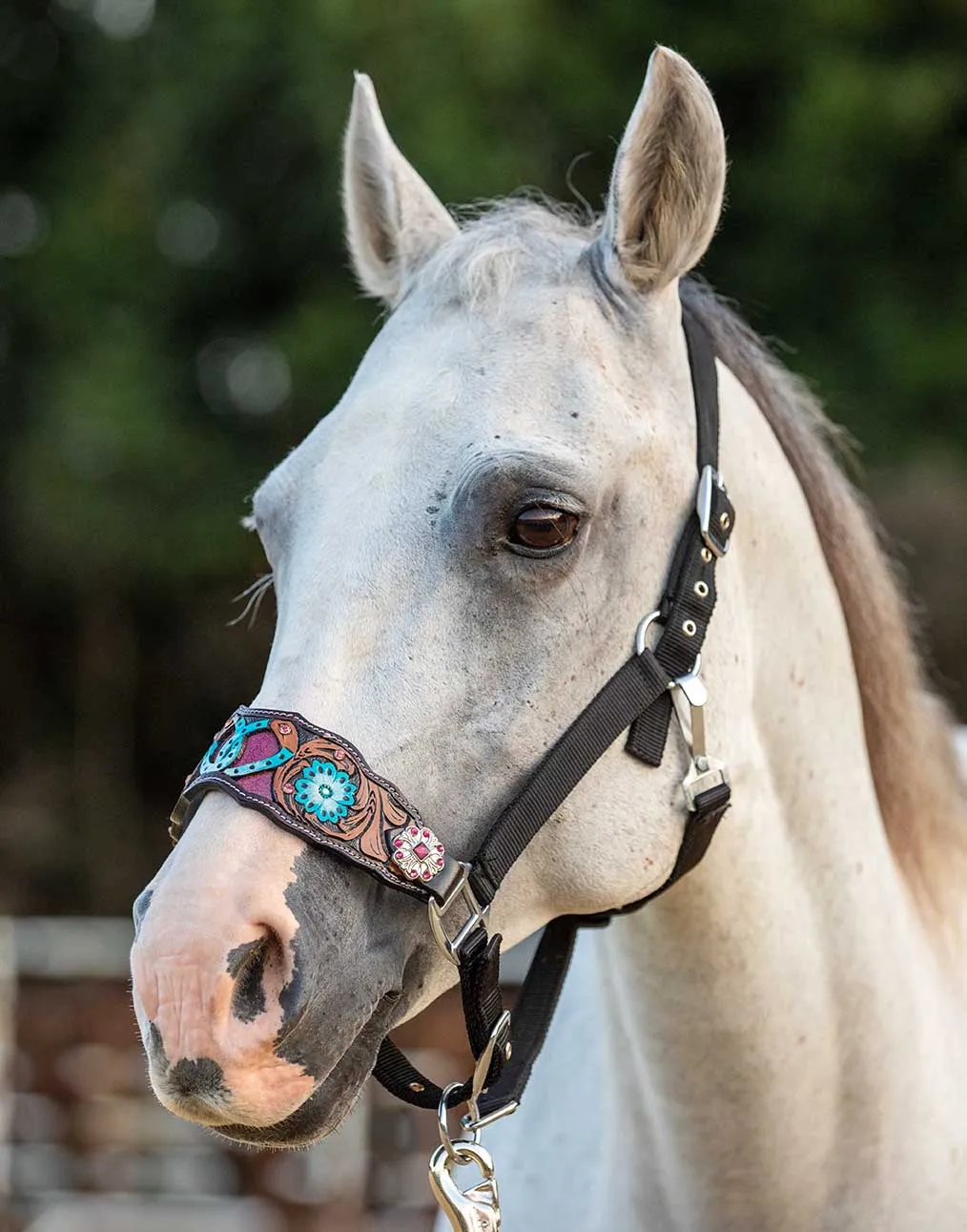 Showman Horse Shoe Bronc Halter